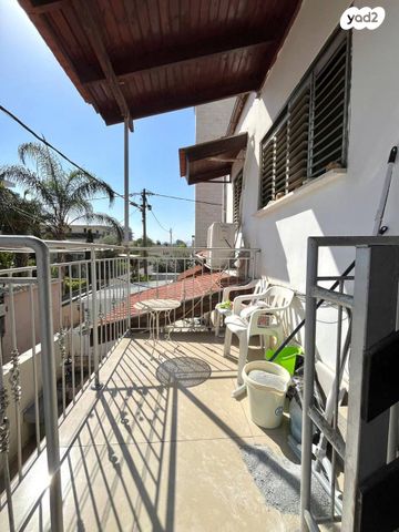 ברדיצ'בסקי 33