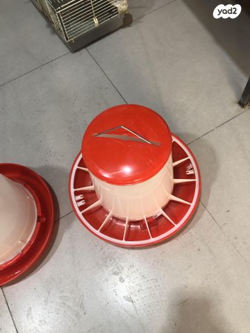 חיית משק בלאדי