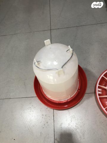 חיית משק בלאדי