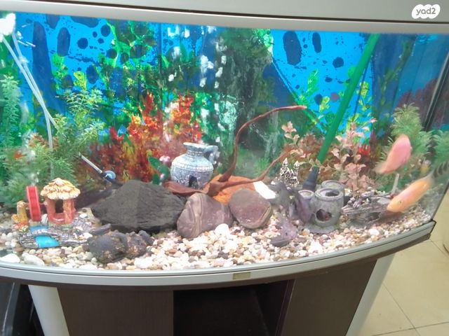 אביזרים | אקווריום