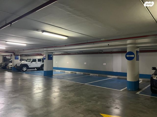 יהושע חנקין 48