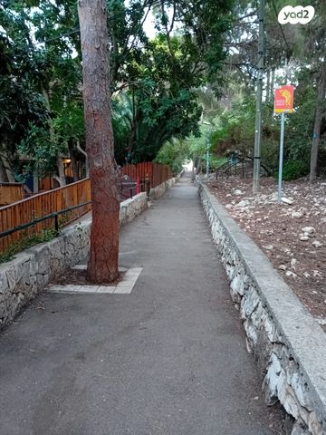 דירה, שמשון 15, מרכז הכרמל, חיפה