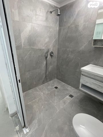 יוסף שפרינצק 43