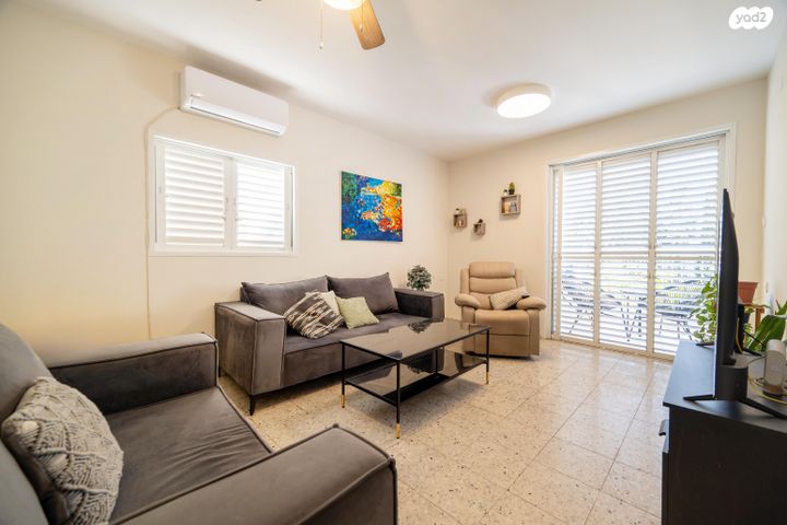 דוד וולפסון 50