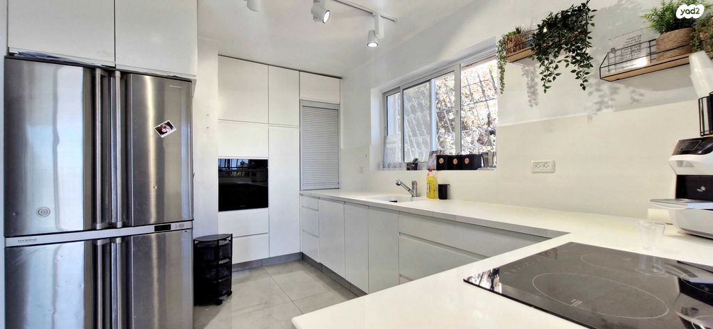 טריפלקס, יחזקאל דוד גויטיין, פסגת זאב, ירושלים