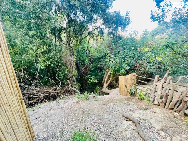 דירת גן, כרמי, רוממה, חיפה