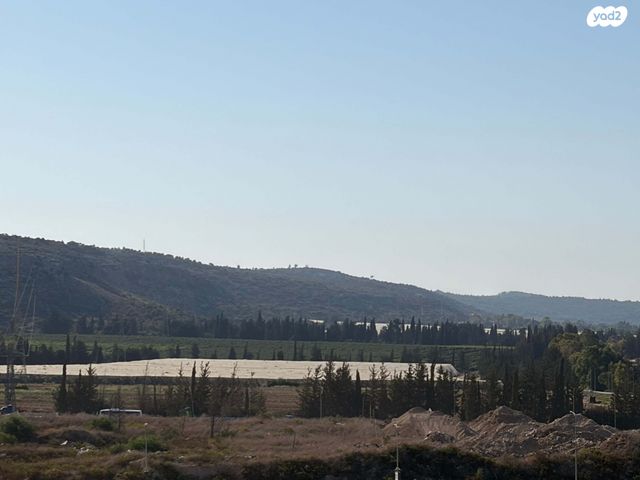 גג/ פנטהאוז, היסעור, החותרים, טירת כרמל