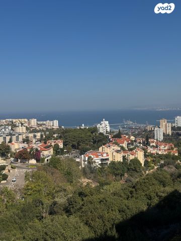 דירה, יהורם גאון, גבעת זמר, חיפה