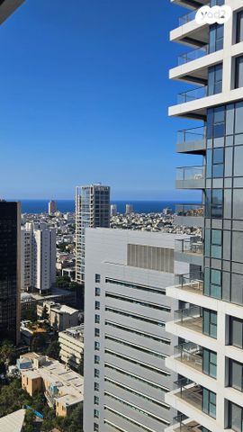 ליאונרדו דה וינצ'י 