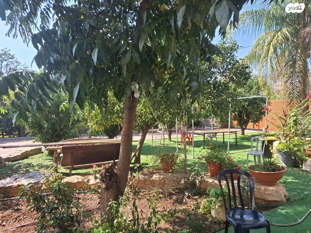 דירה, אליפלט