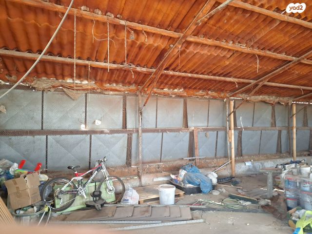 מחסנים, אליפלט