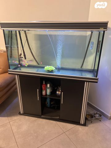 תמונת מודעה - חיות מחמד