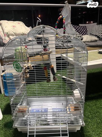 תמונת מודעה - חיות מחמד