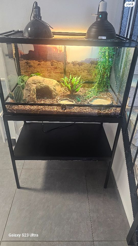 תמונת מודעה - חיות מחמד