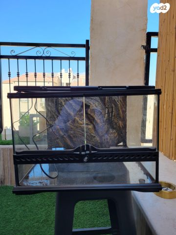 תמונת מודעה - חיות מחמד