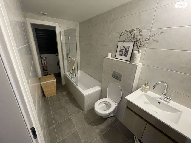 דוד צבי פנקס 1