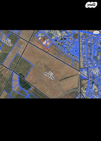 יצחק בן צבי 1