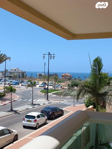 רחבעם זאבי 17