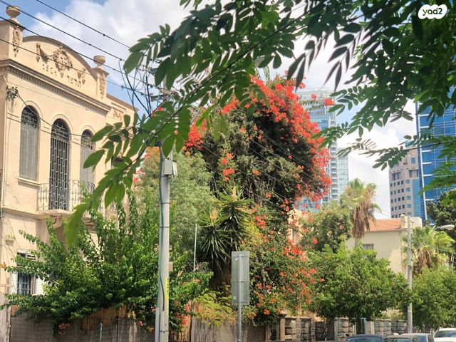 יהודה הלוי 7