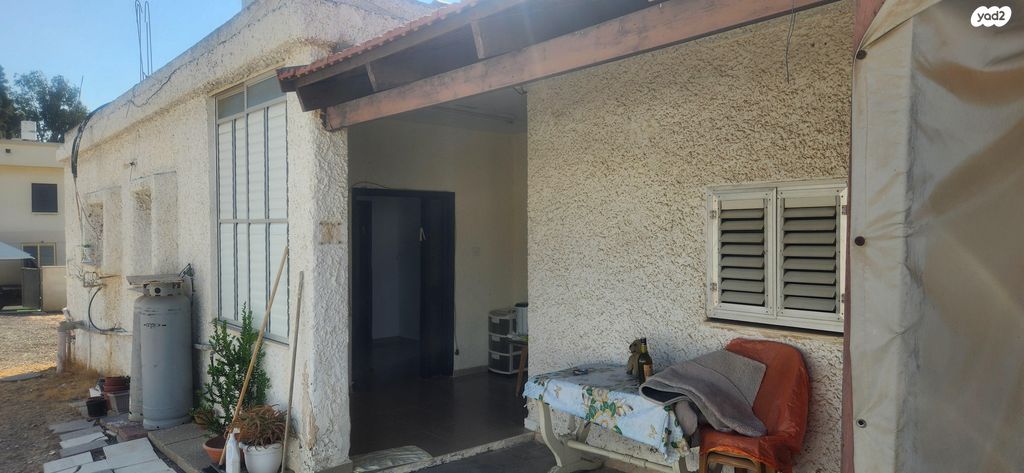 חבצלת השרון 65