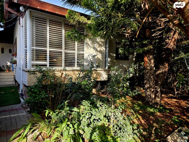 נחמן סירקין 