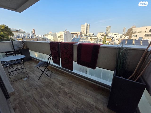 זלמן שניאור 13