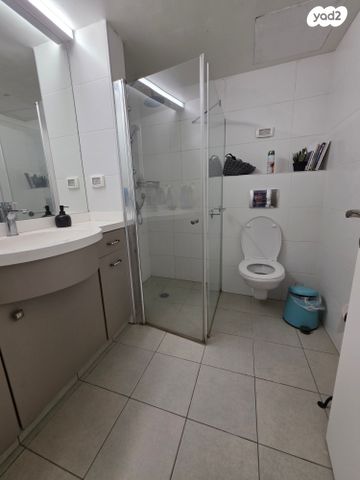 זלמן שניאור 13