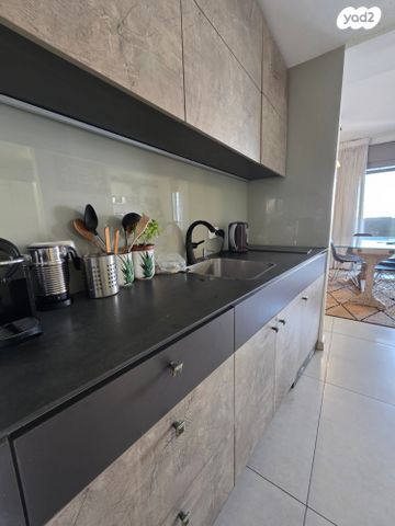 זלמן שניאור 13