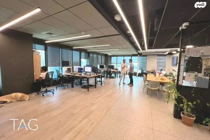 משרדים, דרך מנחם בגין, לב תל אביב, לב העיר צפון, תל אביב יפו