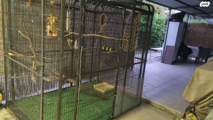 תמונת מודעה - חיות מחמד