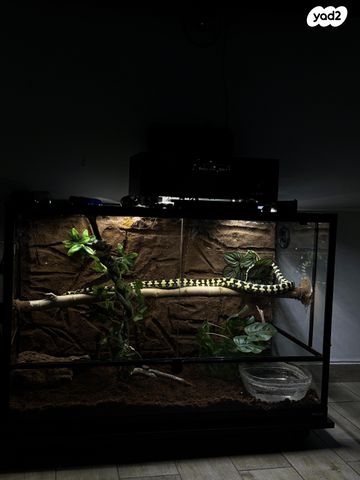 תמונת מודעה - חיות מחמד