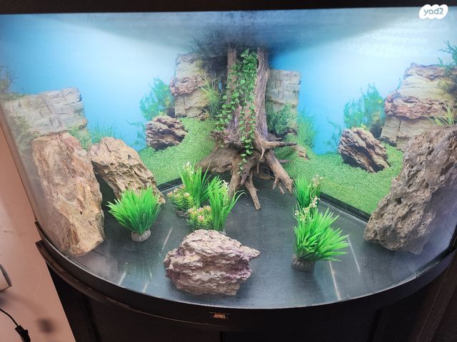 אביזרים | אקווריום