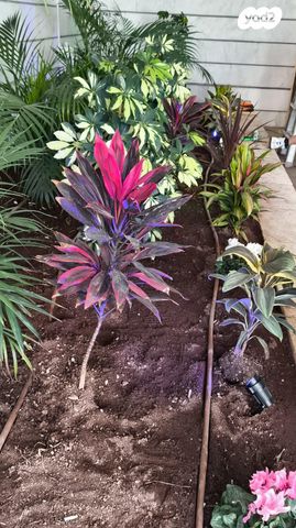 דירה, דרך העצמאות 33, ליבת העיר, יהוד מונוסון