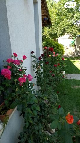 דו משפחתי, יסעור, יסעור, יסעור