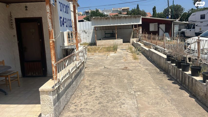 קיבוץ גלויות 33