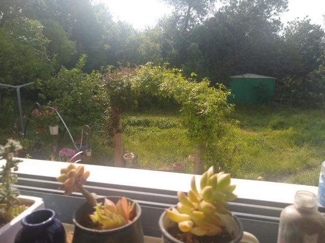 דו משפחתי, יסעור, יסעור, יסעור