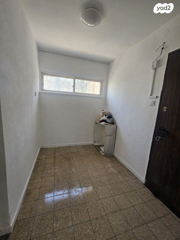 דירה, אילת 88, ג'סי כהן, חולון