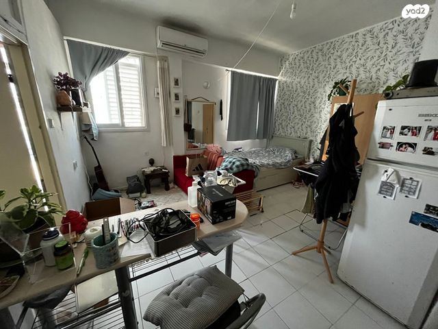 מקווה ישראל 2