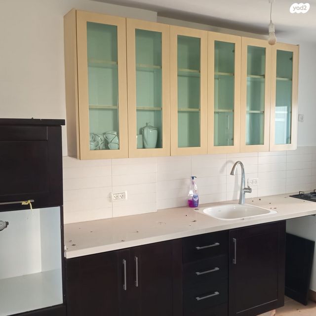 מניה שוחט 12