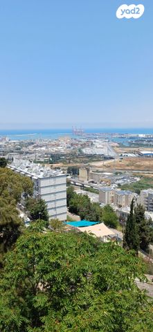 דירה, בשור 1, נווה יוסף, חיפה