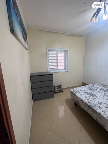 השר שפירא 11