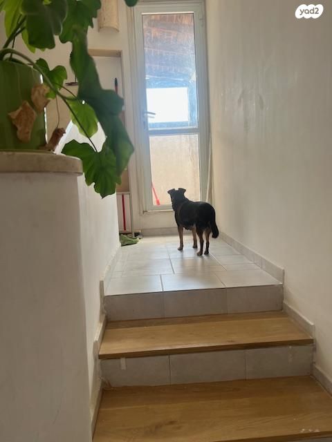 דופלקס, בציר 82, גבעת רם, כרמיאל