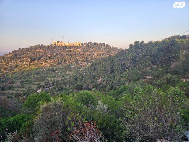 כללי, יסמין 131, אורה