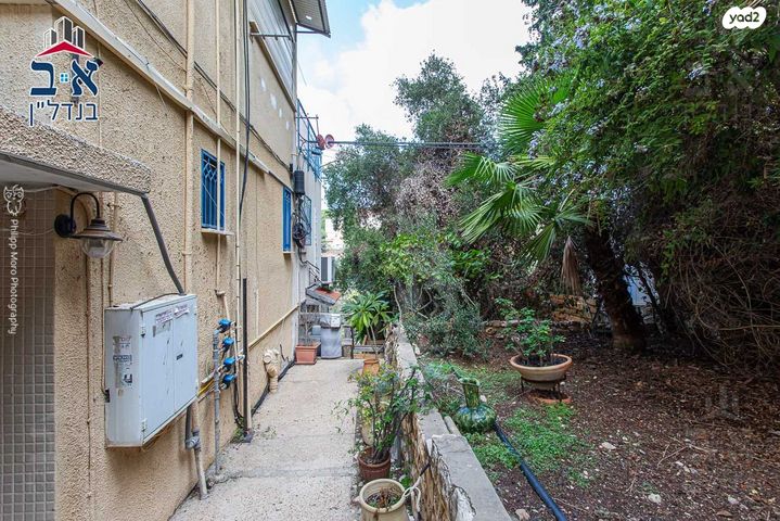 דירה, שושנת הכרמל, חיפה