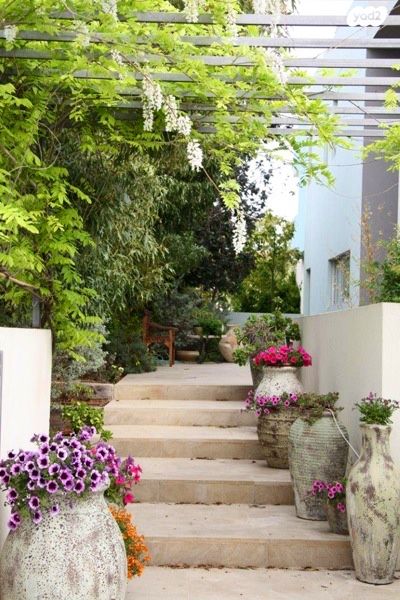 בית פרטי/ קוטג', קיסריה