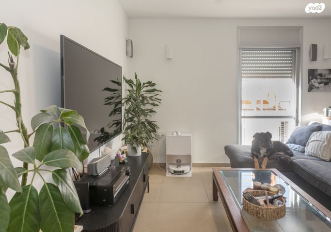 דירה, אלישיב, כרם התימנים, תל אביב יפו