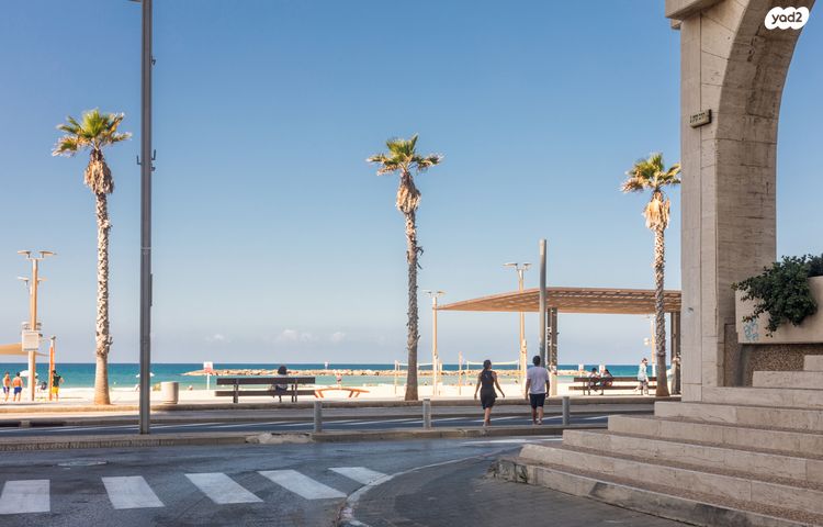 דירה, הרב קוק, כרם התימנים, תל אביב יפו