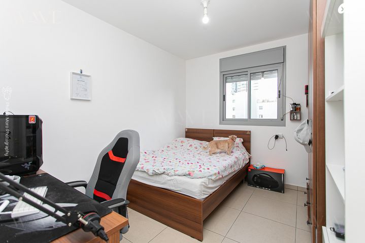 דירה, הגל, החותרים, טירת כרמל