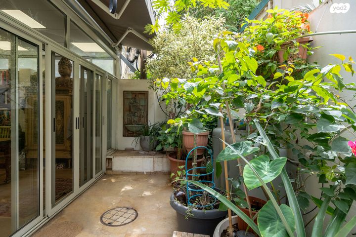 דירת גן, שלמה המלך, הצפון הישן - דרום, תל אביב יפו