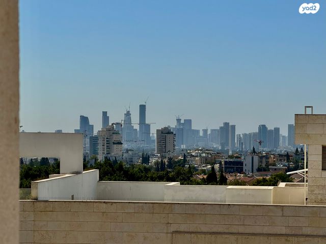 אלכסנדר סשה ארגוב 13